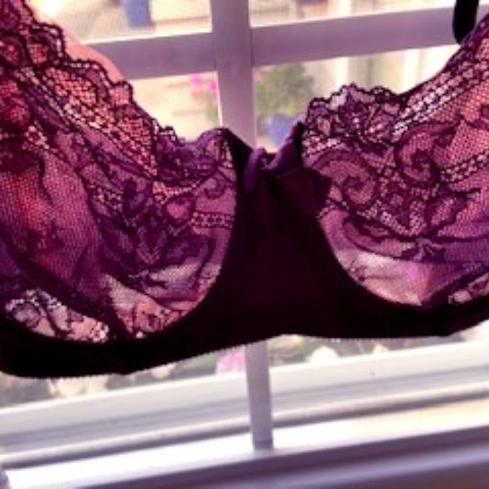 Felina Lace Lined  32DD Underwire i